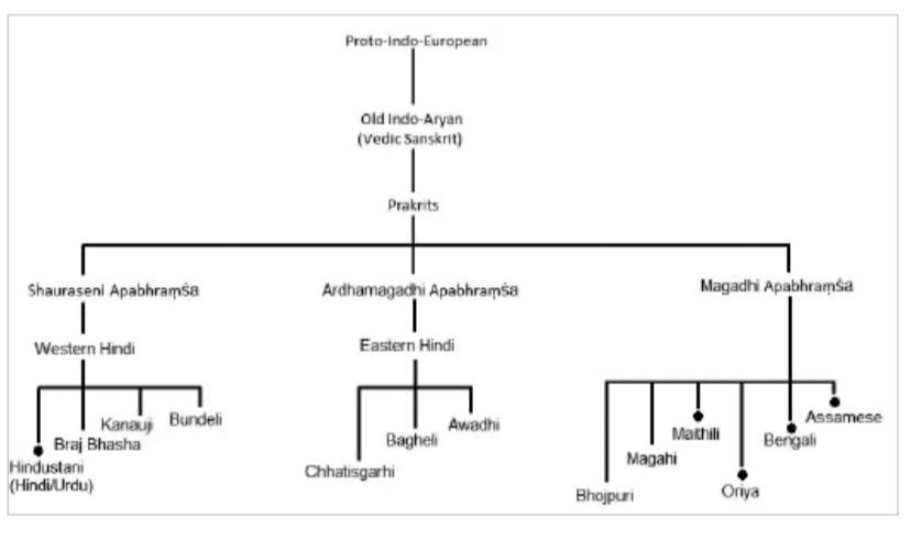  Figure 5 Indo-Aryan Family Tree.