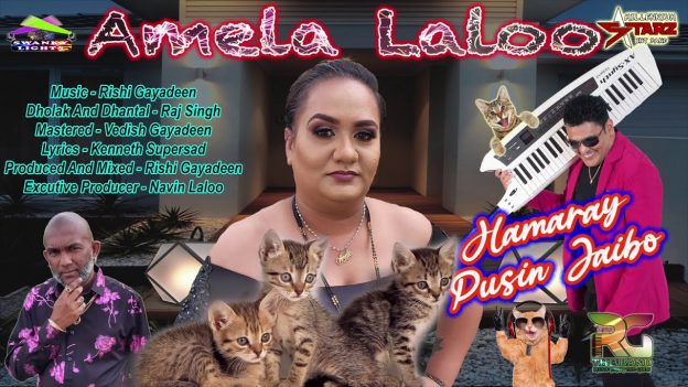 Amela Laloo - Hamaray Pusin Jaibo
