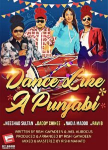 Dance Like A Punjabi Gt Band