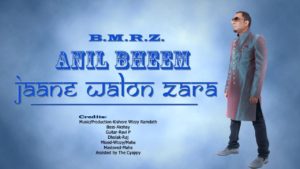 Jaane Walon Zara By Anil Bheem (2019 Bollywood Cover)