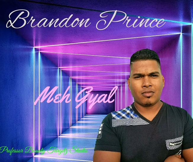 Meh Gyal By Brandon Prince (2019 Chutney Soca)