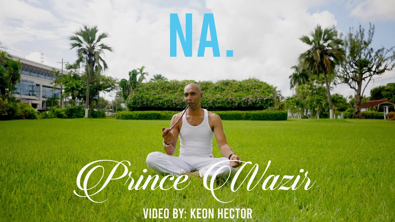 Prince Wazir Haniff - NA (Priya) Official Music Video [Chutney Soca 2022] Guyana