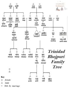 Trinidad Bhojpuri Family Tree
