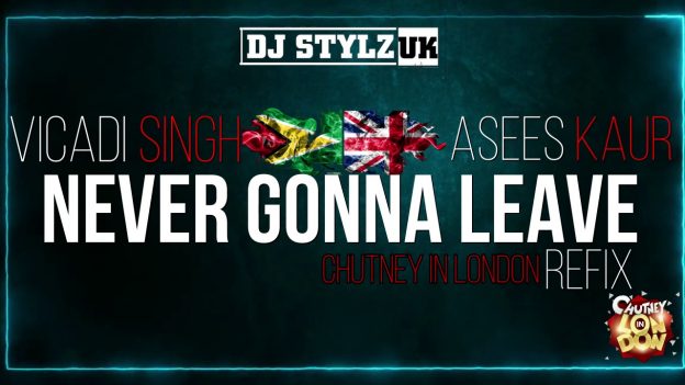 Vicadi Singh X Asees Kaur – Never Gonna Leave
