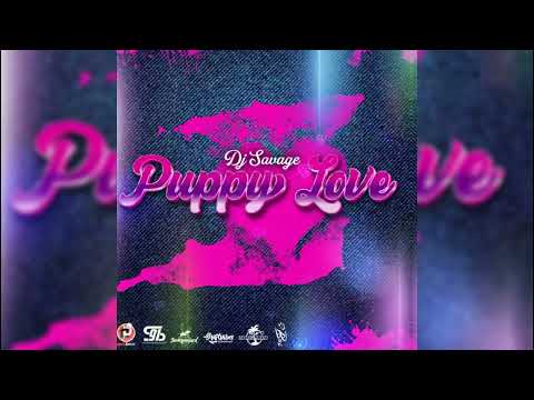 DJ Savage – Puppy Love (Official Visualizer) | Soca 2025