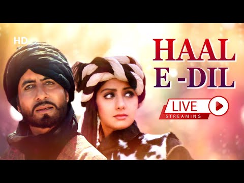 Haal-E-Dil | Popular Song | Bollywood Blockbuster | Indian Music