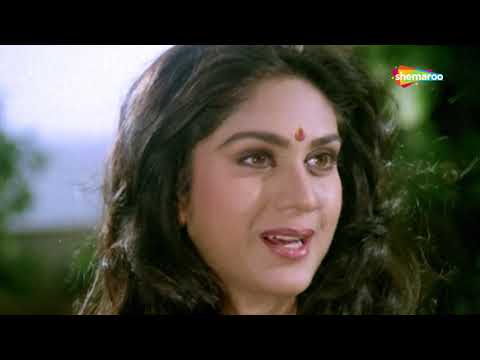 Dukhi Janon Ke Pita Tumhi | Badi Bahen (1993) | Meenakshi Sheshadri, Raj Babbar | Alka Yagnik Hits