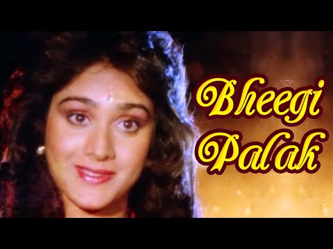 Bheegi Palak | Badi Bahen (1993) | Meenakshi Seshadri | Raj Babbar | Romantic Song