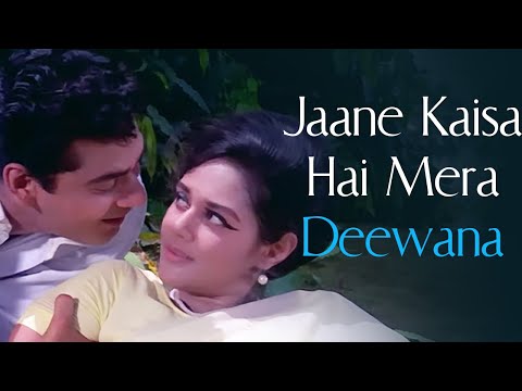 Jaane Kaisa Hai Mera Deewana | Ansoo Ban Gaye Phool (1969) | Kishore Kumar, Asha Bhosle Hits