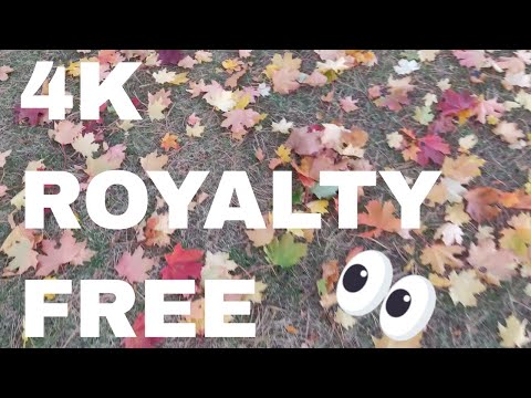 Free 4k Stock Footage & Sounds of Walking in Autumn Leaves (Royalty Free)